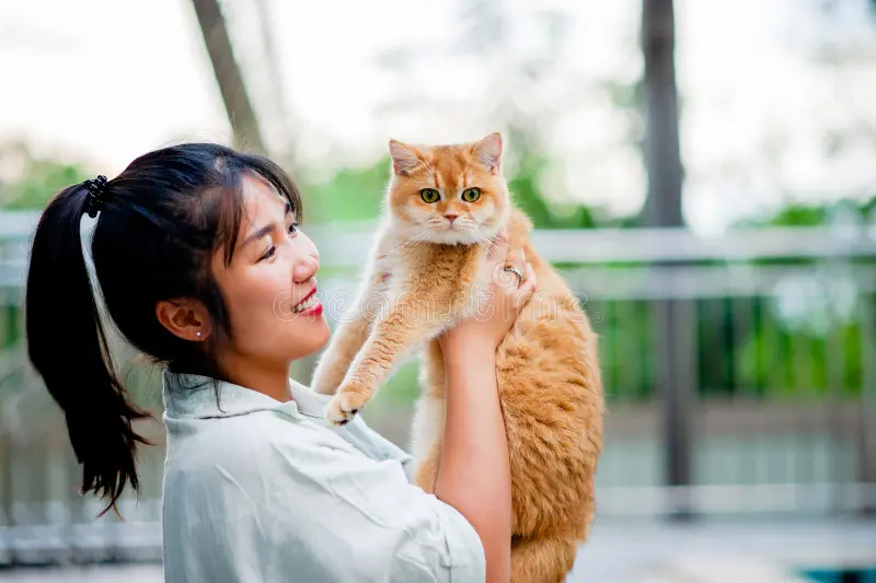 Happy pets bring joy to life?>